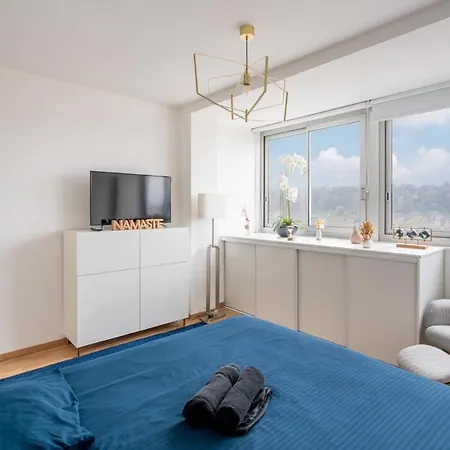 Apartment Plein Centre-ville T2 Avec Sauna